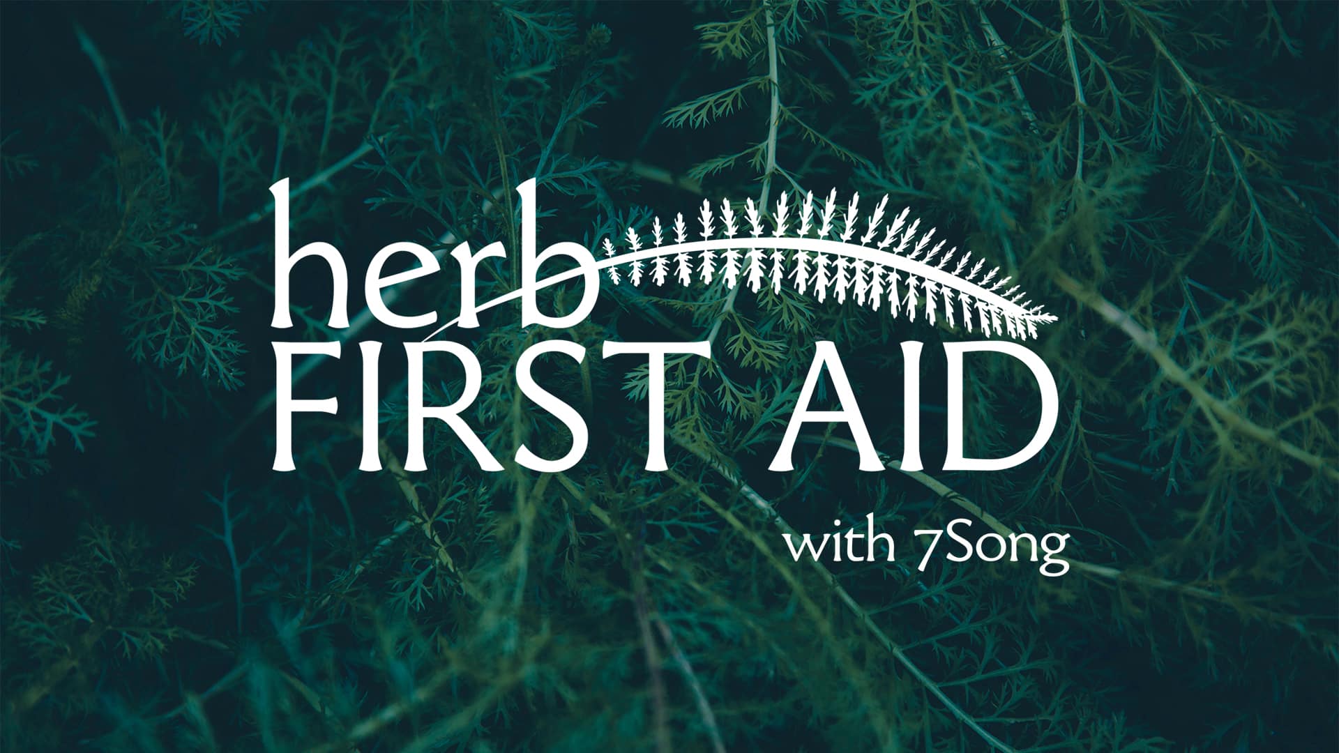 Herbs & Therapies for First Aid Situations